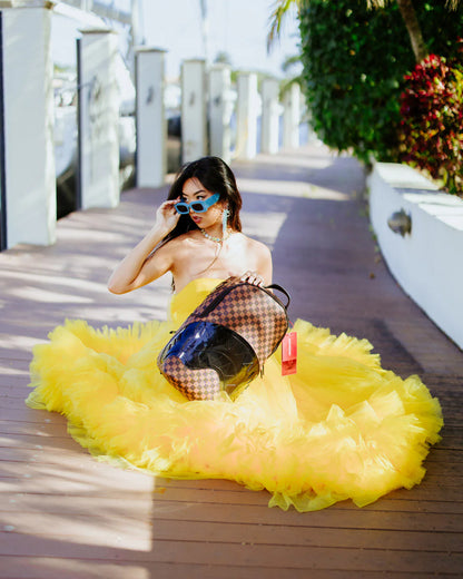 CLEAR RUBBER SHARKS IN PARIS DLXSV BACKPACK